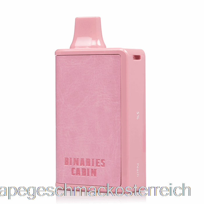 Horizon Binaries Cabin 10000 Einweg-Peach-Vape-Geschmack